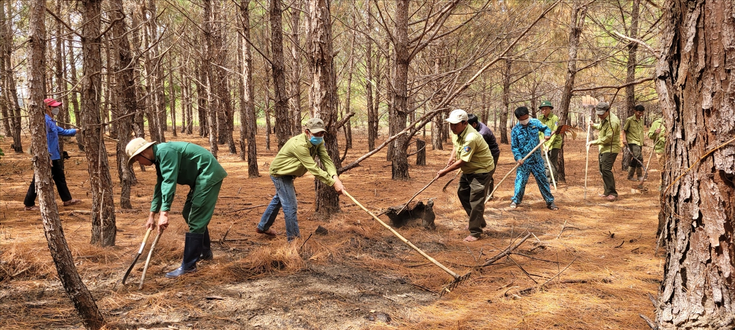 Vào mùa khô, nắng nóng cao điểm các đơn vị chủ rừng, lực lượng chức năng và người dân nhận giao khoán đã triển khai nhiều giải pháp PCCC rừng.