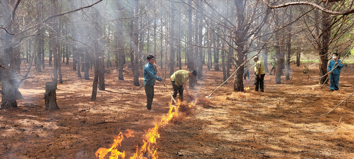 Quản lý Vườn Quốc gia Kon Ka Kinh và các hộ nhận khoán bảo vệ rừng đang triển khai đốt thực bì có điều khiển.
