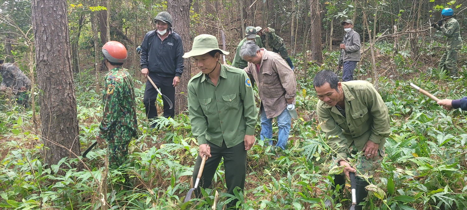 Ban Quản lý rừng phòng hộ Bắc An Khê triển khai dọn thực bì để đảm bảo công tác PCCC rừng.