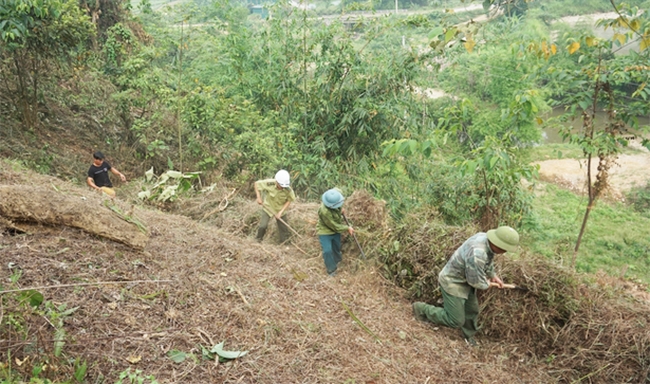 Lực lượng Kiểm lâm phối hợp với chủ rừng phát dọn thực bì phòng, chống cháy rừng