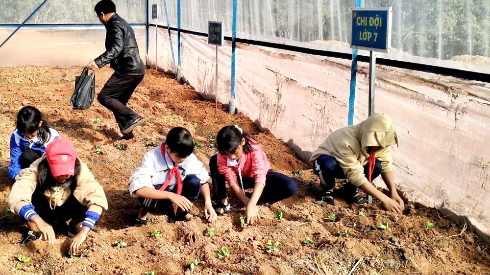 Học sinh Trường THCS Đưng K’nớ hào hứng trồng rau trong nhà kính được LĐLĐ huyện Lạc Dương hỗ trợ