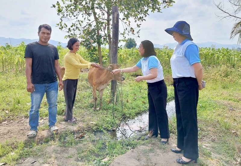 Hội Liên hiệp phụ nữ tỉnh Gia Lai trao mô hình sinh kế bò sinh sản trị giá 10 triệu đồng cho chị Nay H’Uyt