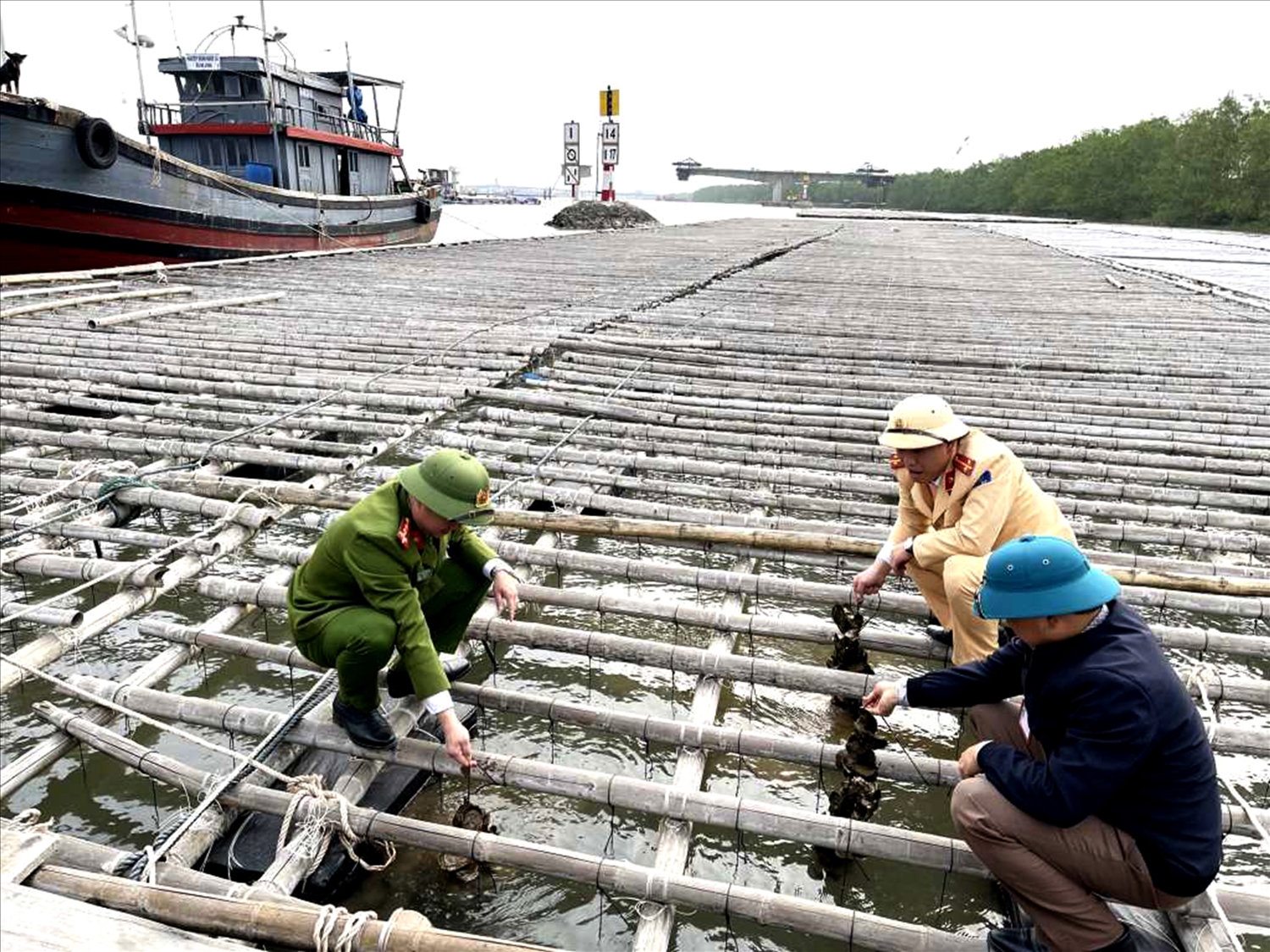 Lực lượng chức năng thị xã Quảng Yên kiểm tra bè nuôi trồng thủy sản. ( Ảnh: Nguyễn Tấn)