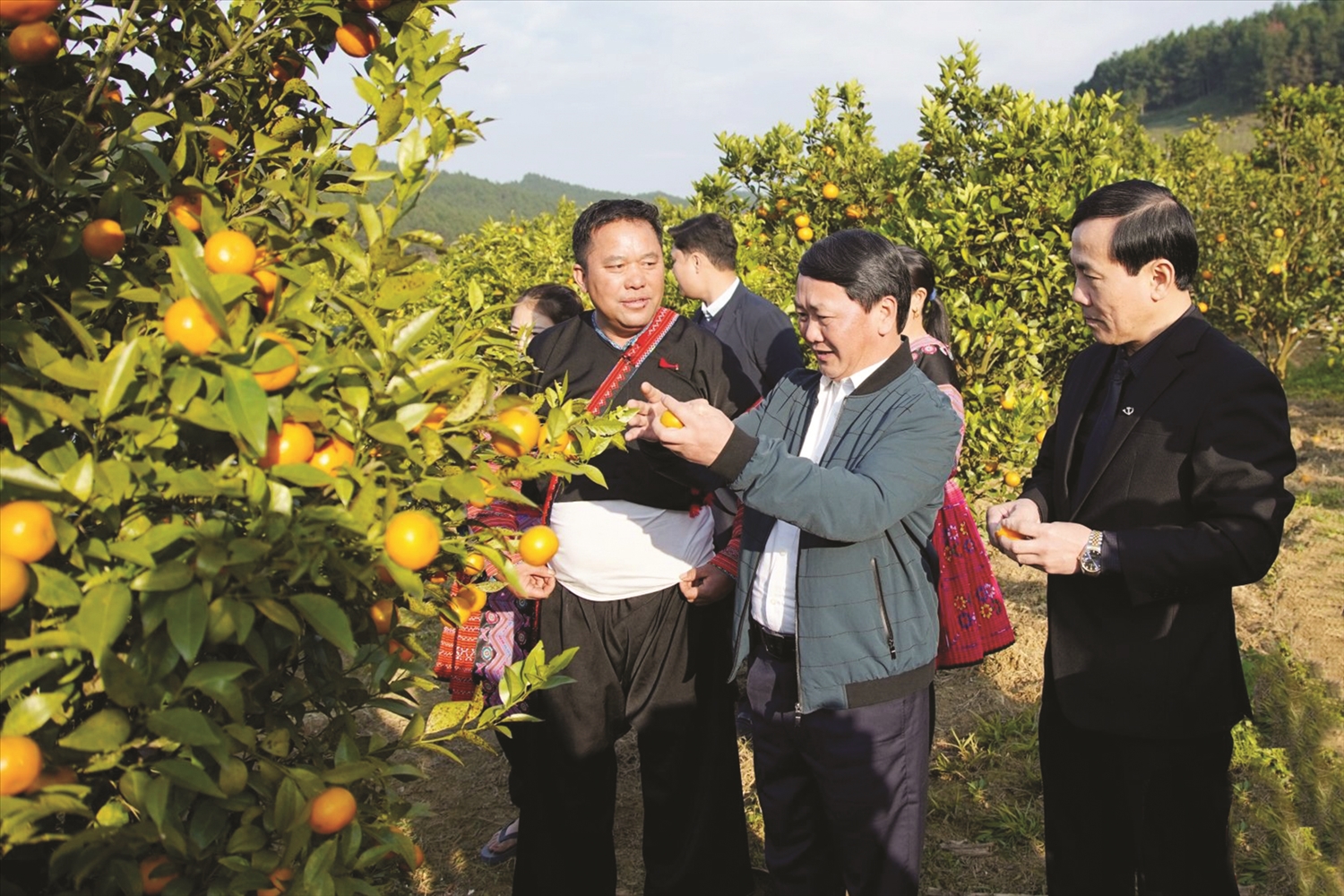 Bộ trưởng, Chủ nhiệm Ủy ban Dân tộc thăm mô hình sản xuất nông nghiệp hữu cơ tại bản Hua Tạt, xã Vân Hồ, huyện Vân Hồ, tỉnh Sơn La.­­ 