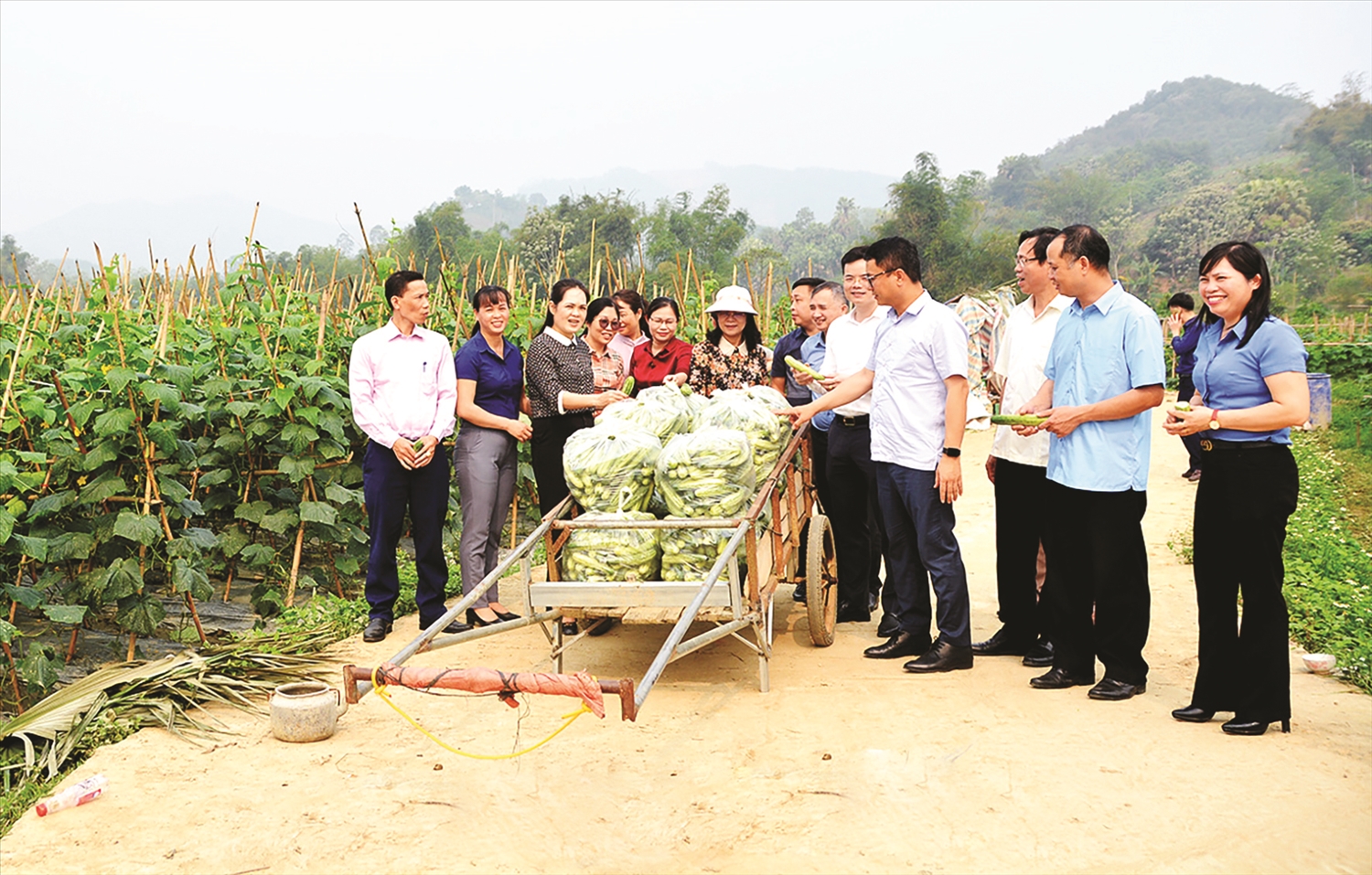 Đoàn giám sát của Ủy ban Dân tộc thăm mô hình liên kết sản xuất theo Chương trình MTQG tại thôn Loa, xã Thành Long, huyện Hàm Yên (Tuyên Quang, tháng 3/2023).