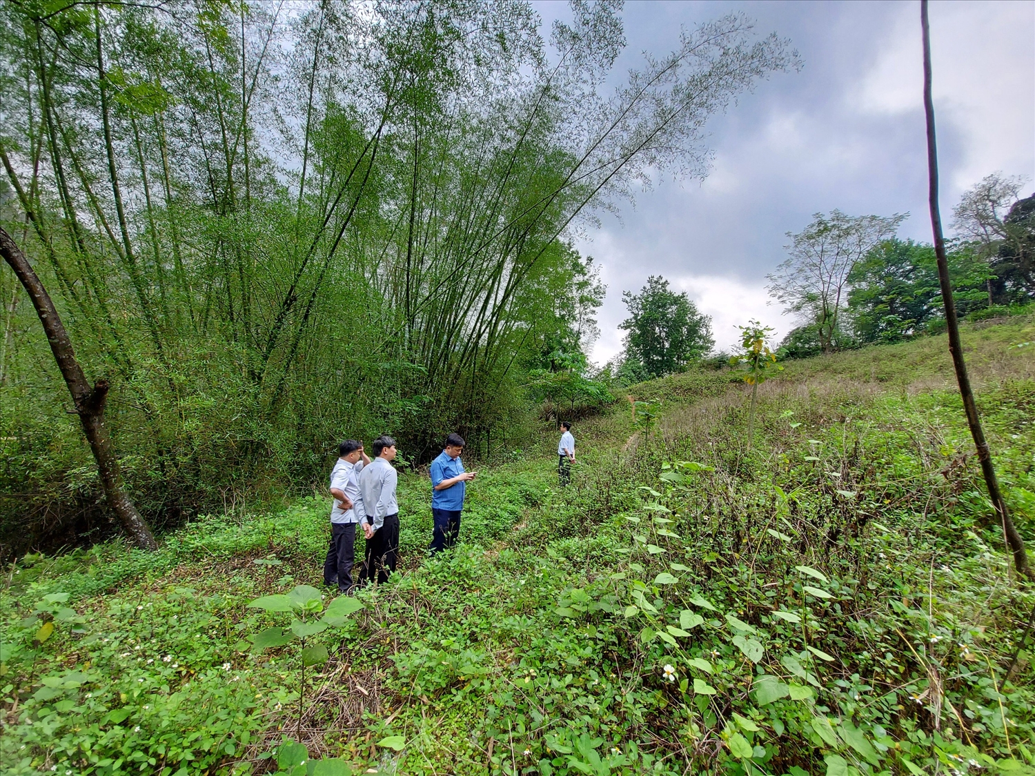  Đoàn công tác đi kiểm tra thực địa Dự án bố trí dân cư vùng thiên tai tại xóm Canh Biện, xã Nguyễn Huệ, huyện Hòa An