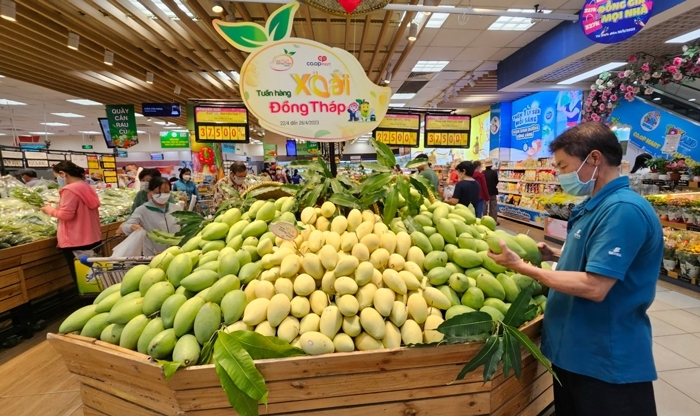 Giá bán khuyến mãi đặc biệt các loại xoài này tại Thành phố Hồ Chí Minh chỉ từ 11.200 đồng/kg đến hơn 30.000 đồng/kg. (Ảnh: Nguyệt Ánh)