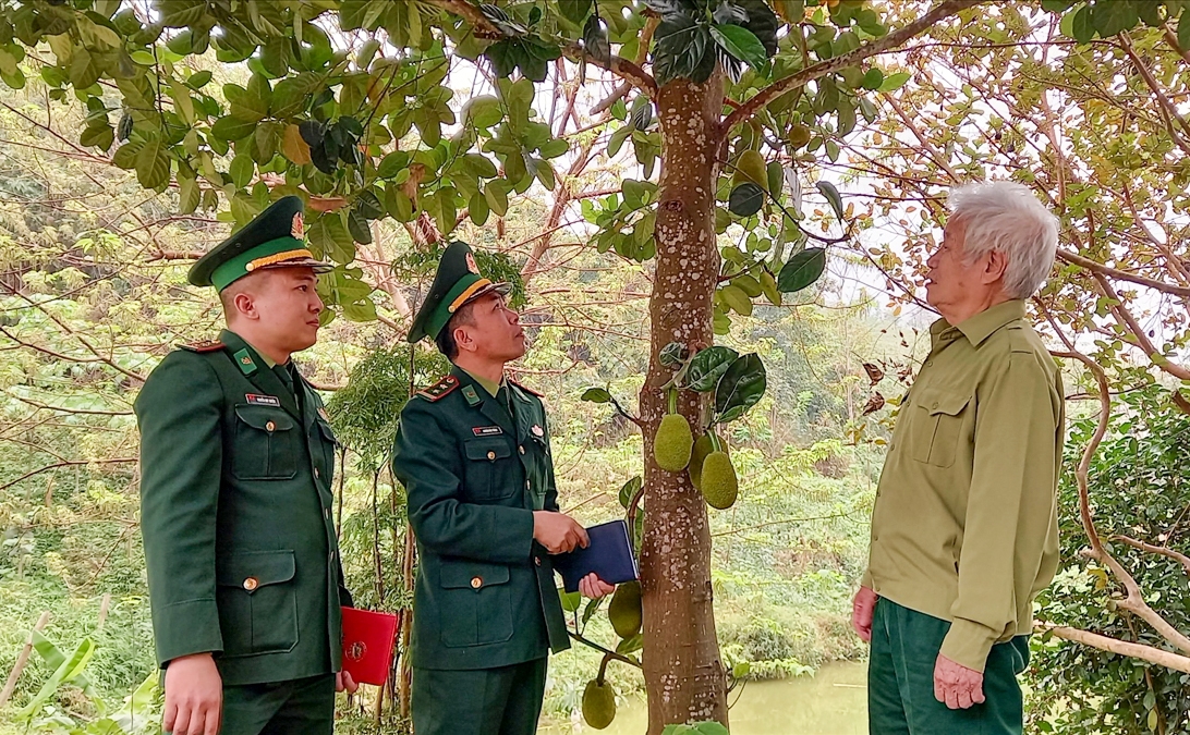 Cán bộ chiến sĩ Đồn Biên phòng Trịnh Tường trao đổi kỹ thuật chăm sóc cây mít cho ông Nguyễn Ngọc Lạng