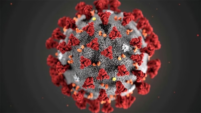 Hình ảnh minh họa virus corona do CDC Mỹ công bố