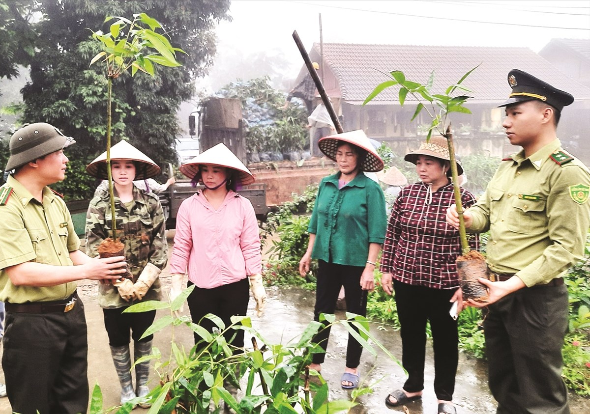 Lãnh đạo Hạt Kiểm lâm huyện Lục Yên tuyên truyền người dân thôn Khau Ca, xã An Phú về cây tre măng Bát Độ.