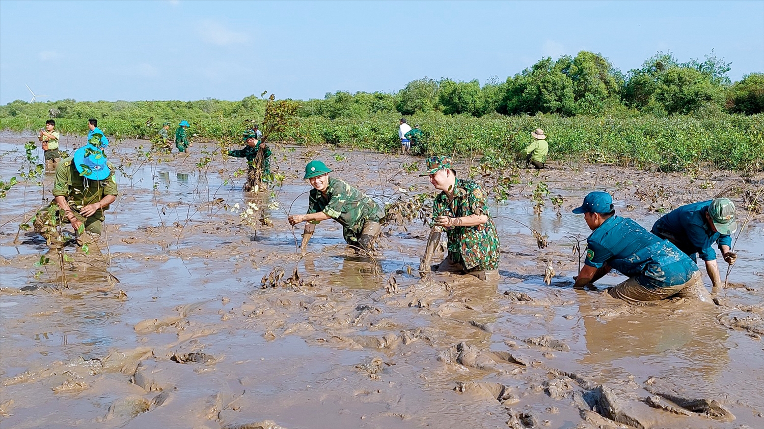  Đồn Biên phòng Vĩnh Hải phối hợp với các đơn vị trồng 1.000 cây mắm tại khu vực ven biển thuộc ấp Trà Sết, xã Vĩnh Hải, thị xã Vĩnh Châu ( Sóc Trăng)