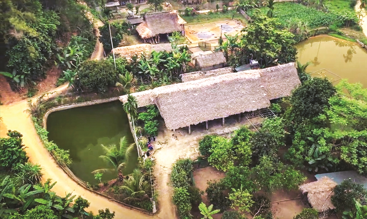  Những mái nhà sàn ở Đồng Hương tạo nên khung cảnh nên thơ cho bản làng nơi đây.
