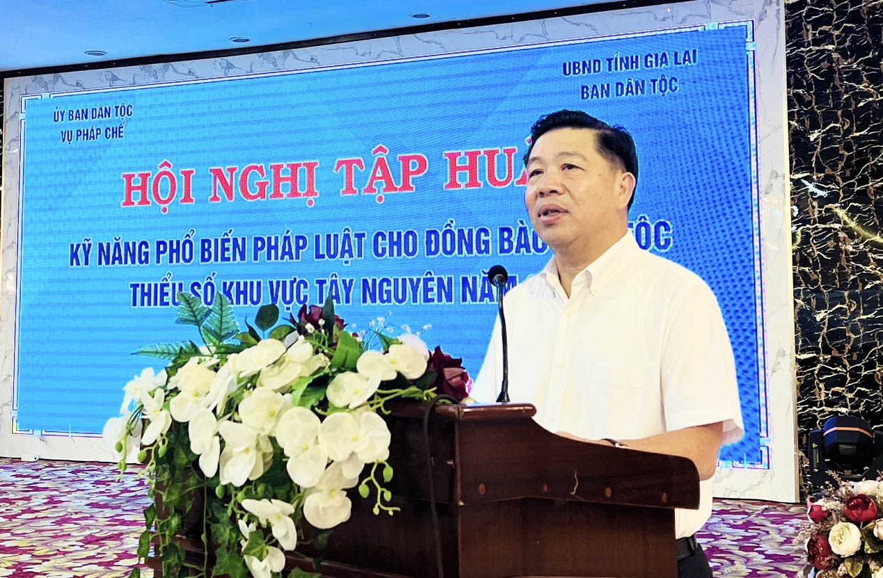 Thứ trưởng, Phó Chủ nhiệm Ủy Ban Dân tộc Lê Sơn Hải phát biểu tại Hội nghị tập huấn