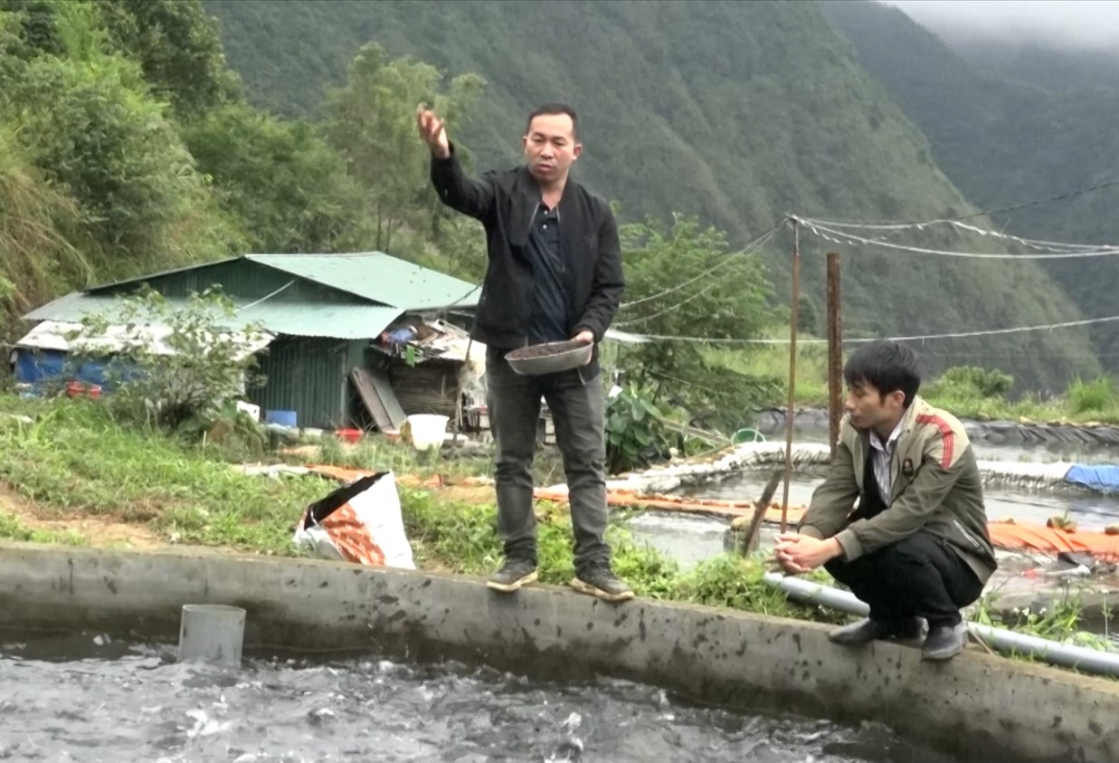 Nghề nuôi cá nước lạnh đã giúp nhiều hộ dân xã Sơn Bình thoát nghèo và làm giàu.