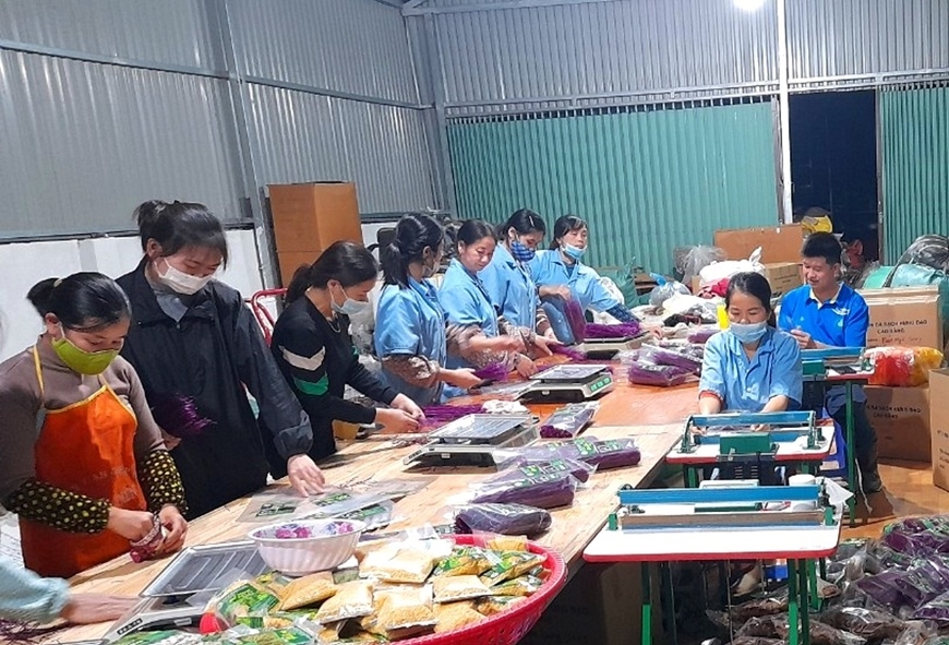 Hàng trăm sản phẩm nông sản của Cao Bằng được quảng bá trên sàn thương mại điện tử.