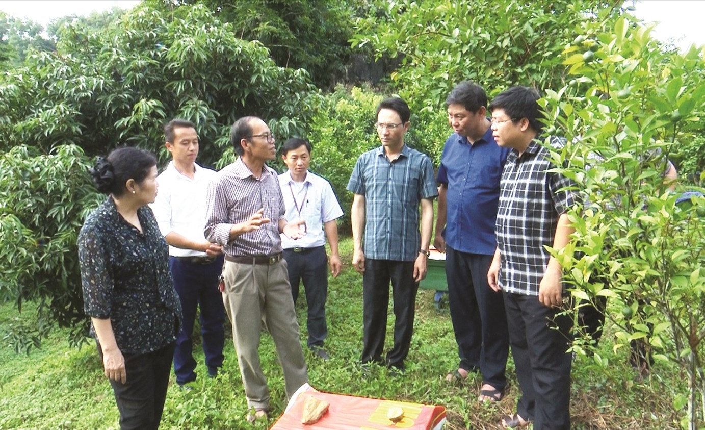 Bí thư Tỉnh ủy Lai Châu Giàng Páo Mỷ (ngoài cùng bên trái) cùng Đoàn công tác của tỉnh và huyện Than Uyên thăm mô hình nuôi ong dưới tán rừng ở xã Pha Mu.