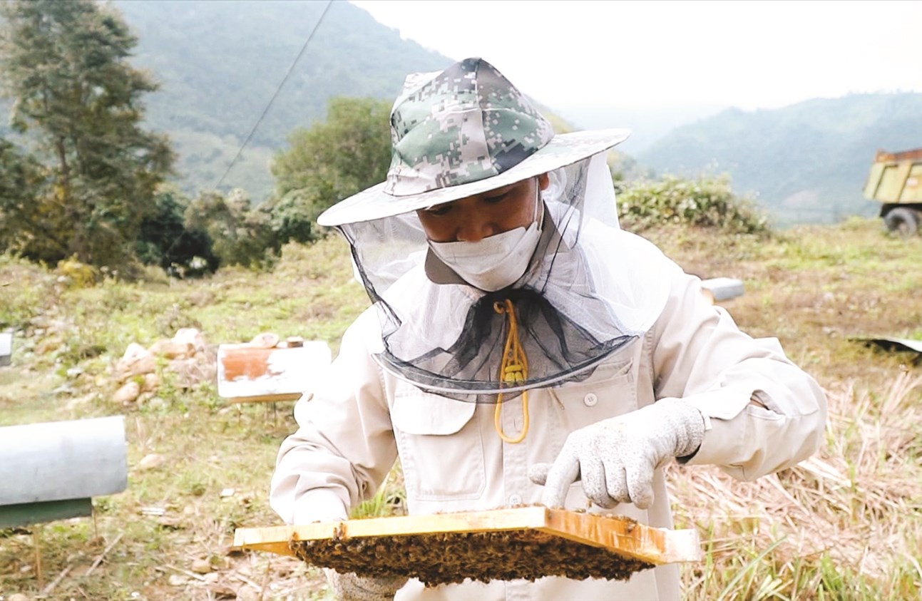 Người dân xã Nậm Hàng, huyện Nậm Nhùn kiểm tra đàn ong