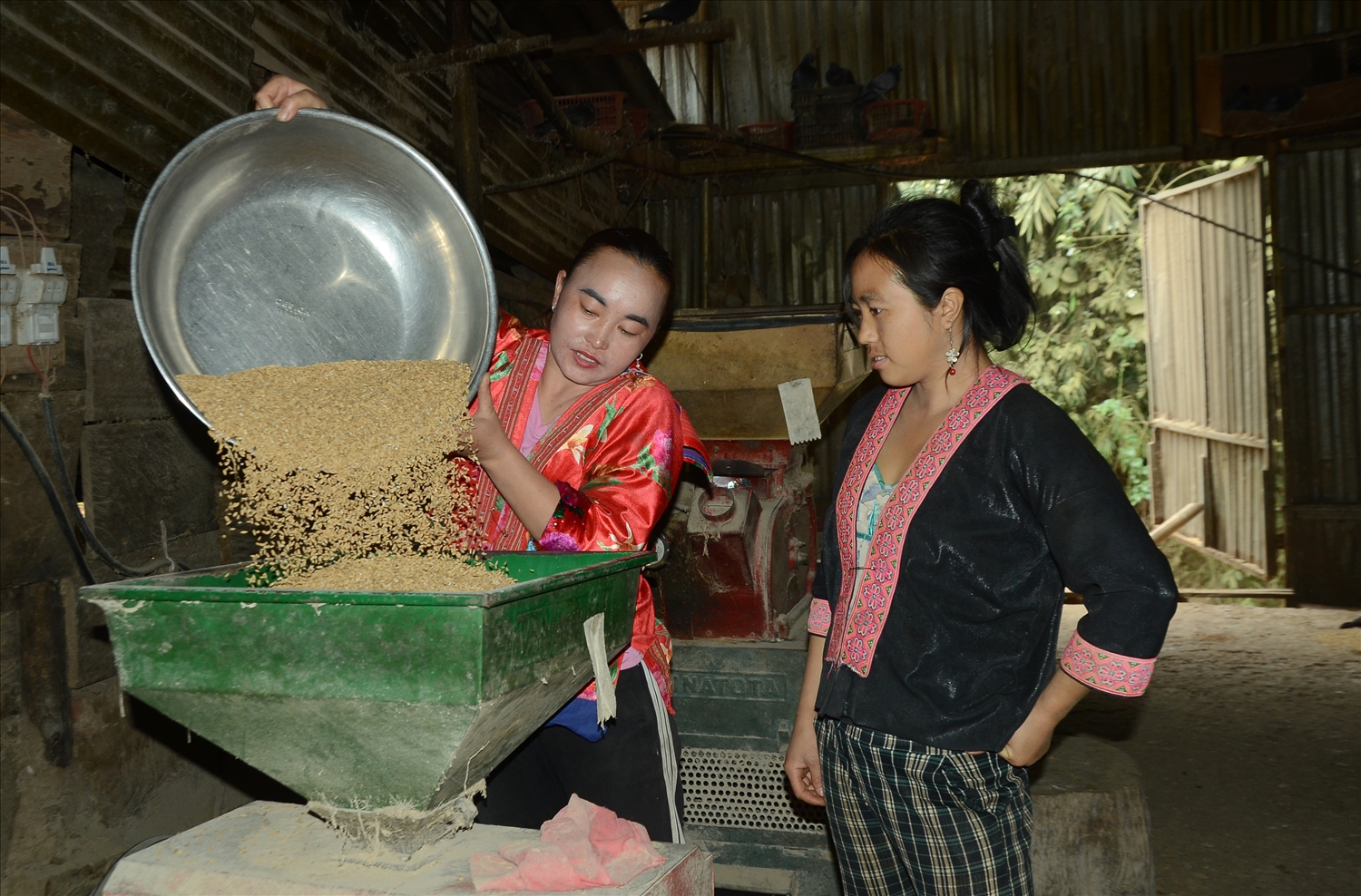 Chị Giàng Thị Pày (bên trái), Bí thư Chi bộ bản Nậm Pan 2 , xã Mường Toong, huyện Mường Nhé hỗ trợ người dân địa phương xát thóc.