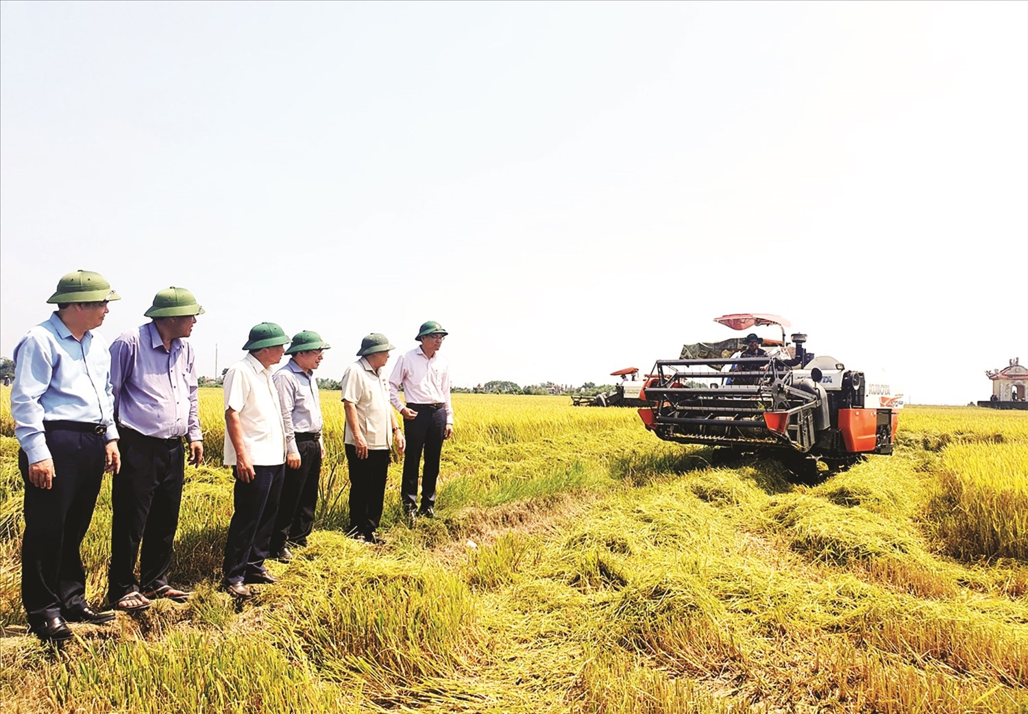 Lãnh đạo tỉnh Quảng Trị đôn đốc thu hoạch lúa Xuân ở Hải Lăng đồng thời chỉ đạo địa phương đẩy nhanh tiến độ vụ mùa tới