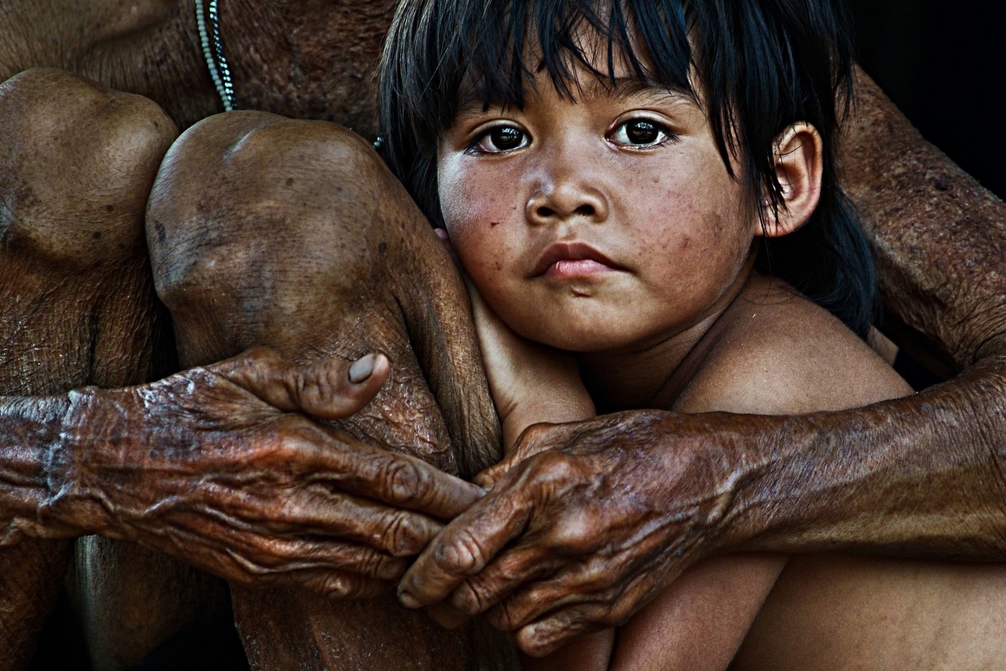 Tác phẩm nhiếp ảnh “A cosy life”- (Ấm cúng) của Hùng Hoa Lư đoạt giải tại cuộc thi ảnh quốc tế
