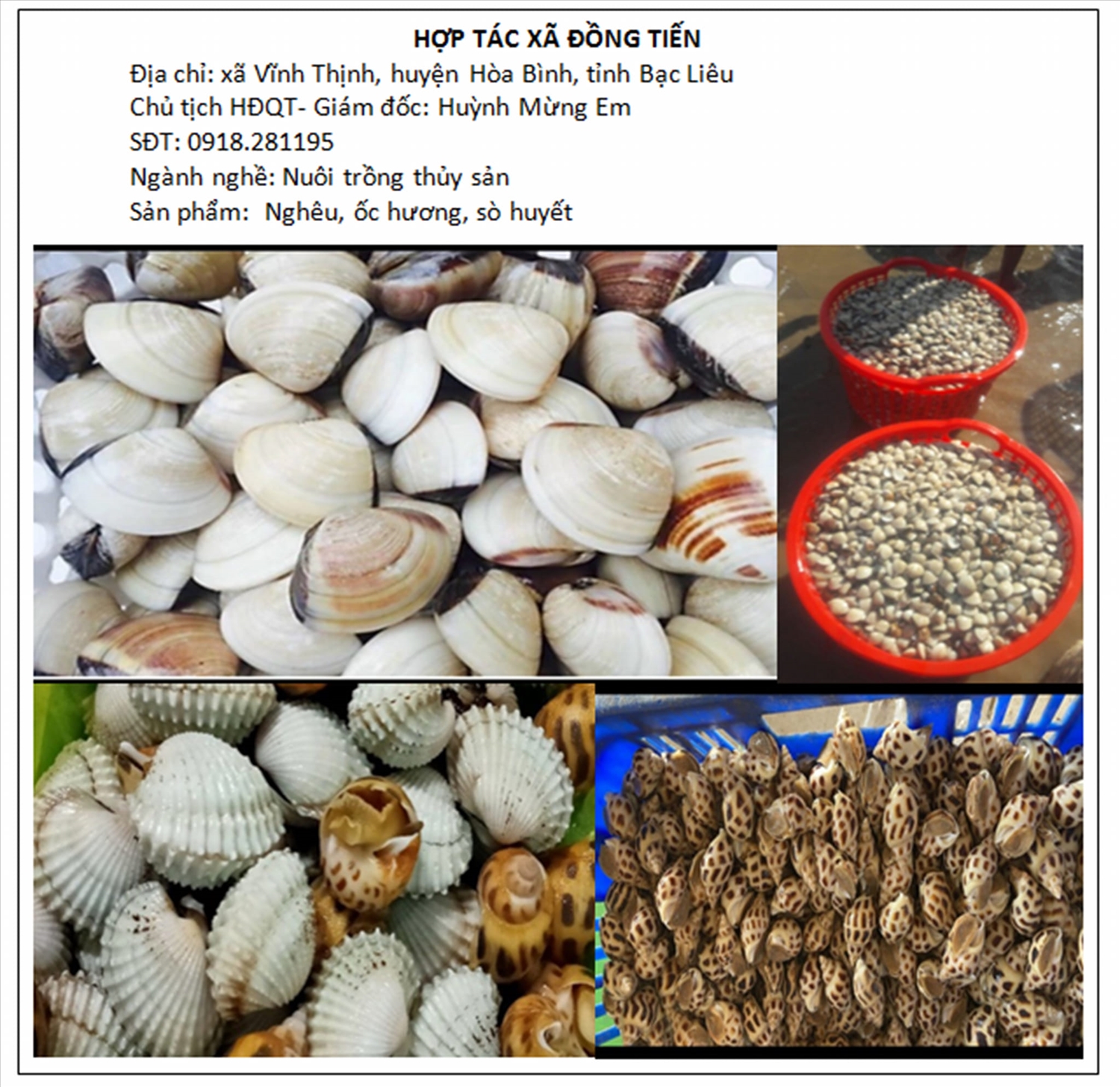 Sản phẩm ngêu, sò, ốc hương của HTX Đồng Tiến được giới thiệu trên trang mạng xã hội của Liên minh HTX tỉnh Bạc Liêu