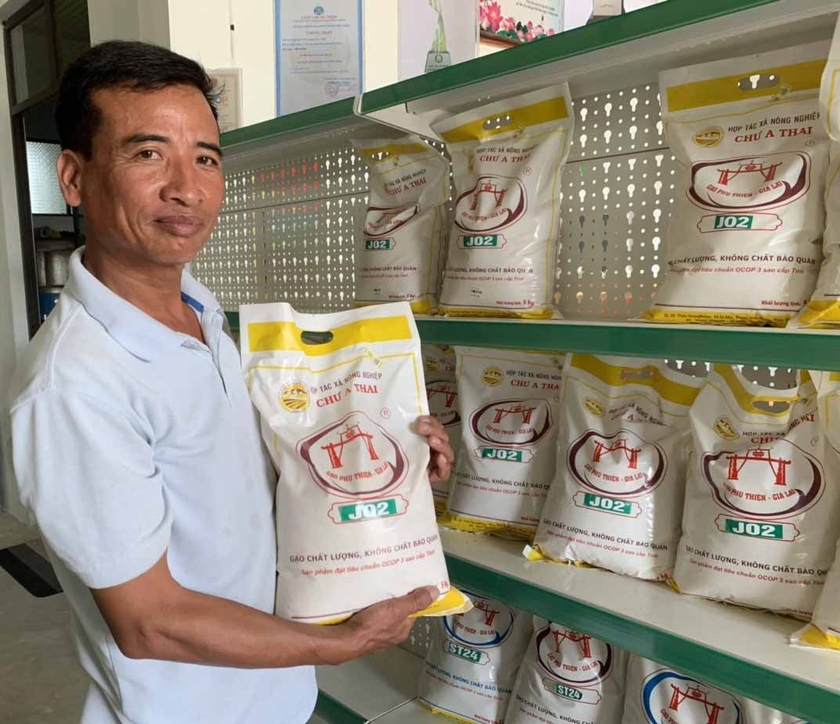 HTX Nông nghiệp Chư A Thai (xã Ia Ake) sản xuất lúa chất lượng cao, xây dựng thương hiệu gạo Phú Thiện được người tiêu dùng tin chọn