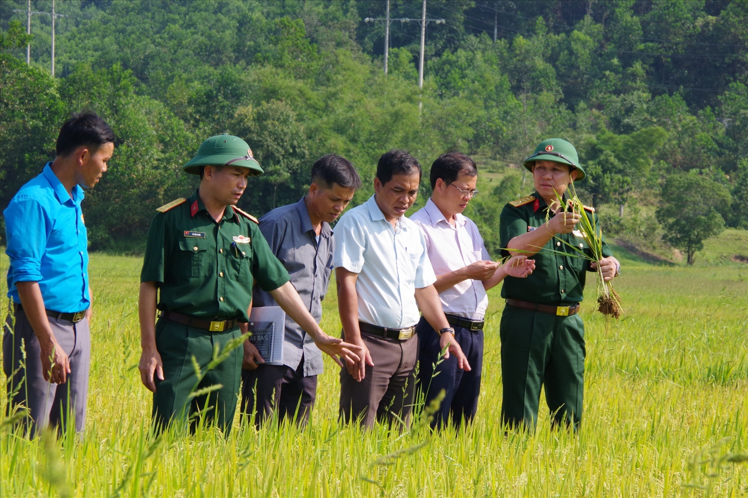 Đoàn 92 kiểm tra chất lượng mô hình trồng lúa nước của bà con Nhân dân trên địa bàn.