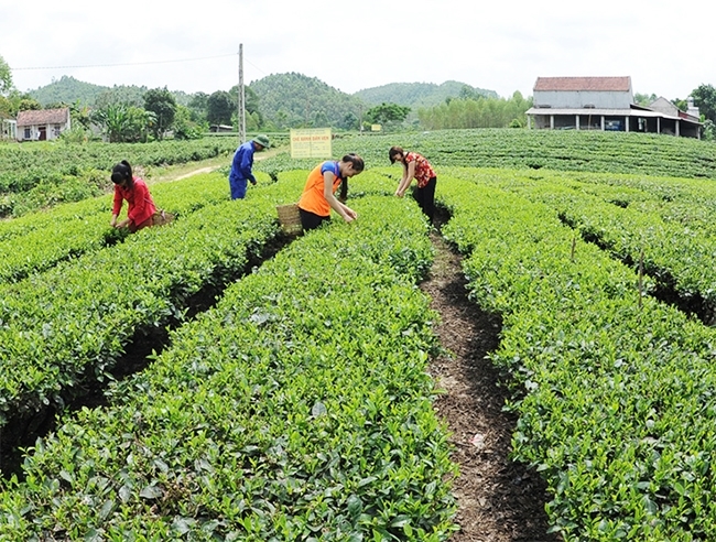 UBND huyện Yên Thế sẽ hỗ trợ 97 hộ dân giải quyết tình trạng thiếu đất ở, đất sản xuất.