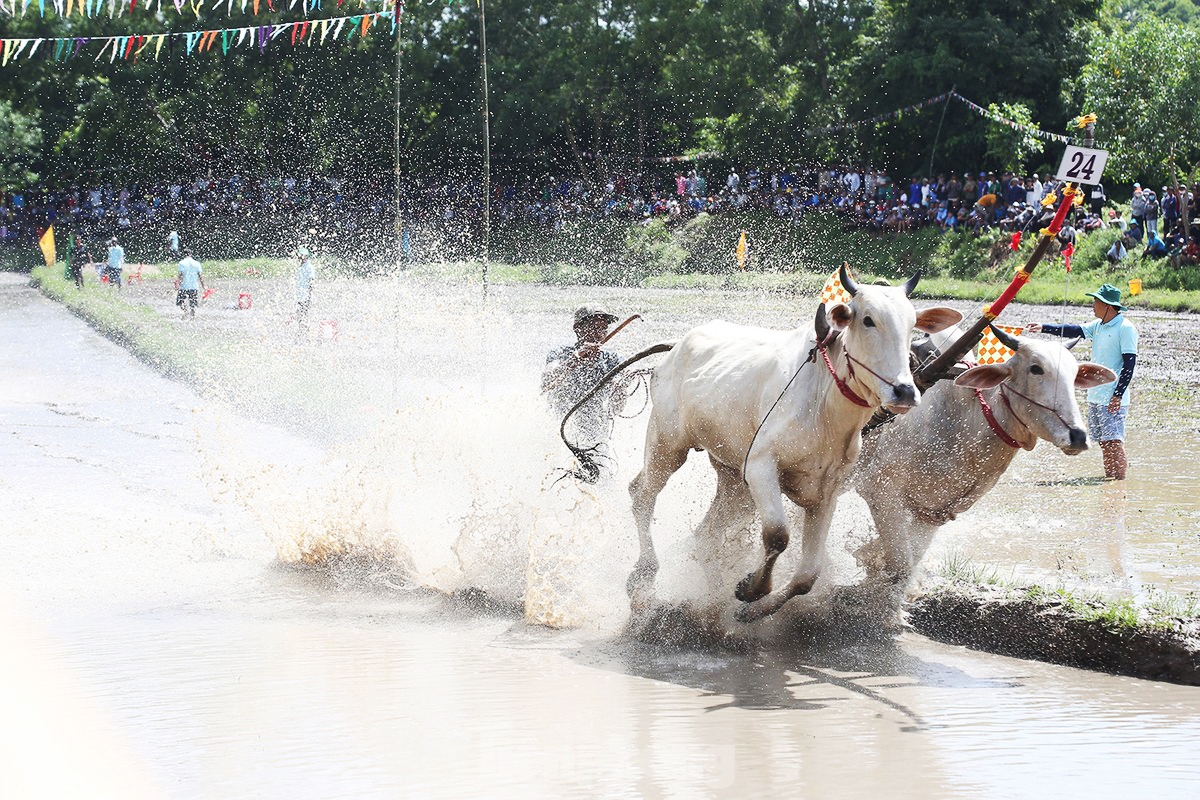 Tăng tốc về đích. (Ảnh: Hòa Hội)