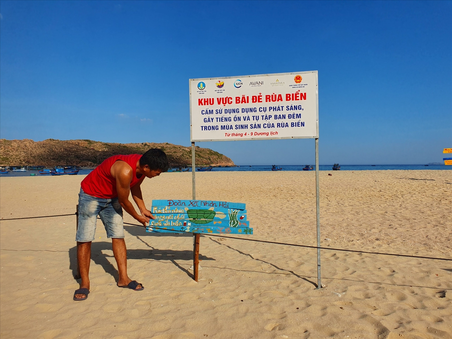 Chính quyền địa phương quy hoạch khu bãi đẻ tạm cho rùa biển sinh sản