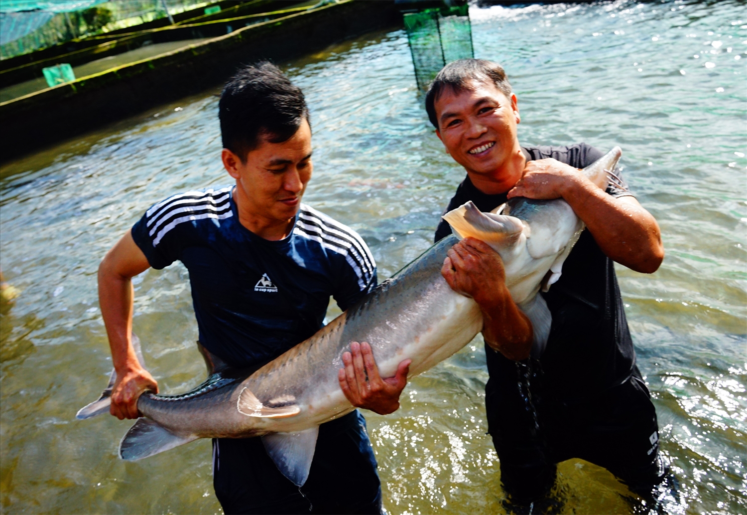 Giám đốc HTX Huỳnh Ngọc Thu (bên phải) với sản phẩm cá tầm từ trang trại của HTX