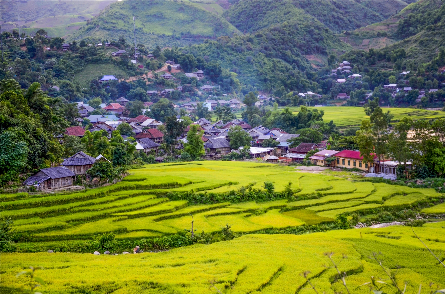 Xây dựng nông thôn mới ở Điện Biên: Từ ý Đảng đến lòng dân (Bài 1) | Dân  tộc và Phát triển
