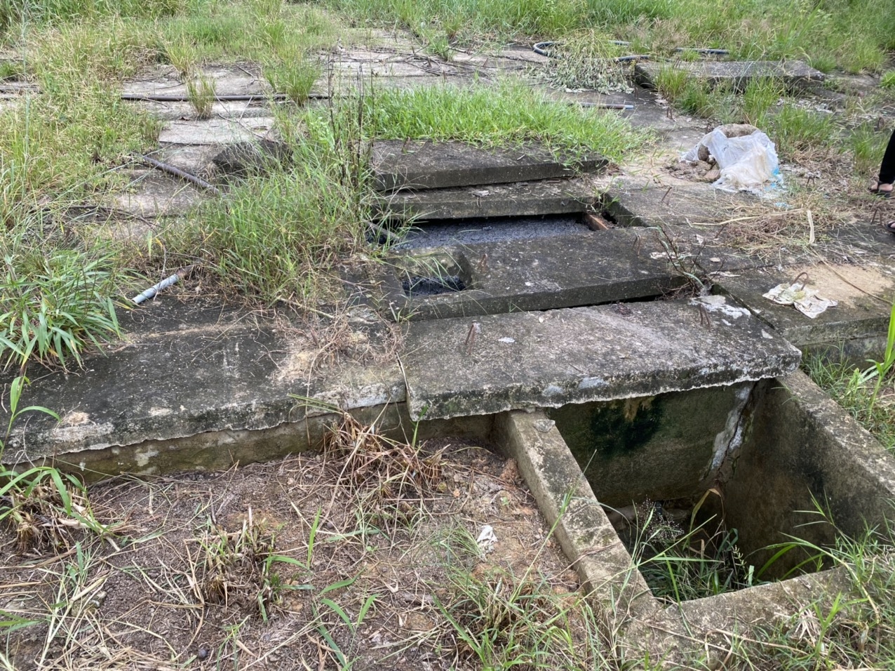 Hệ thống xử lý nước thải của Lò giết mổ gia súc tập trung thành phố Kon Tum đã quá tải