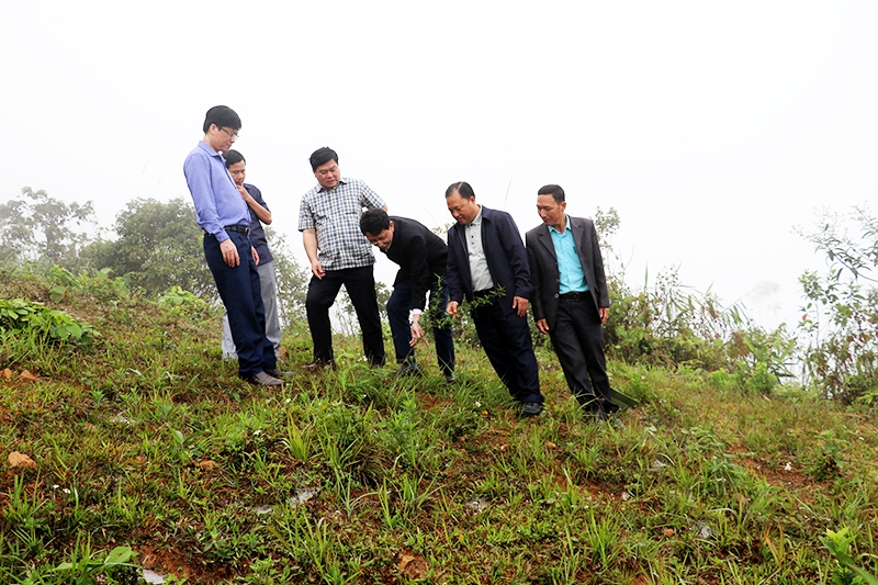 Các dự án 5, 6, 7, 8 đã được đề nghị kéo dài sang thực hiện năm 2024 - Trong ảnh: kiểm tra mô hình trồng đào ở xã Tây Sơn huyện Kỳ Sơn