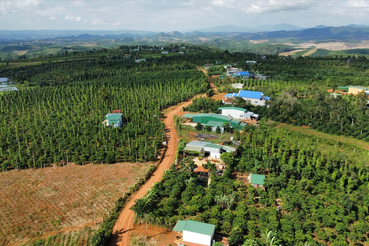 Việc hỗ trợ nhà ở, đất ở, đất sản xuất theo Chương trình 1719 huyện Đắk Glong gặp khó vì vướng quy hoạch