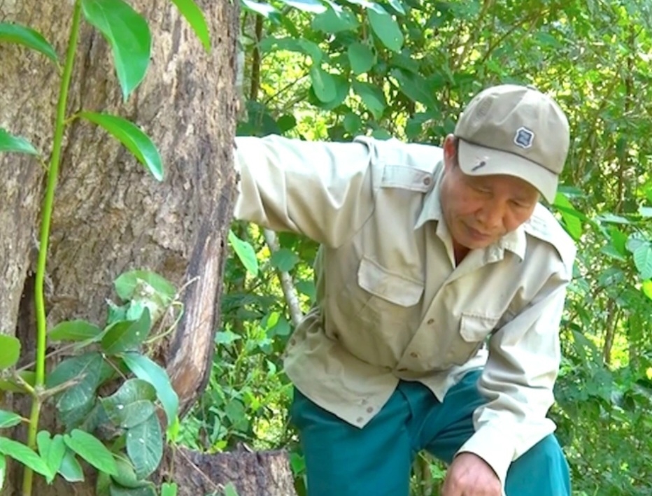 Ông Kha Văn Tuấn (sinh năm 1961) ở bản Na Hang, xã Mai Sơn, Tương Dương trong một chuyến tuần tra bảo vệ rừng