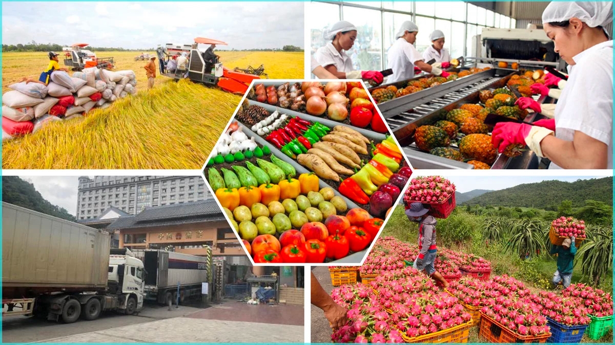 Với nhiều lợi thế trong sản xuất nông nghiệp, Việt Nam là nước có khối lượng xuất khẩu nông sản lớn đến nhiều quốc gia trên thế giới (Ảnh: TL)