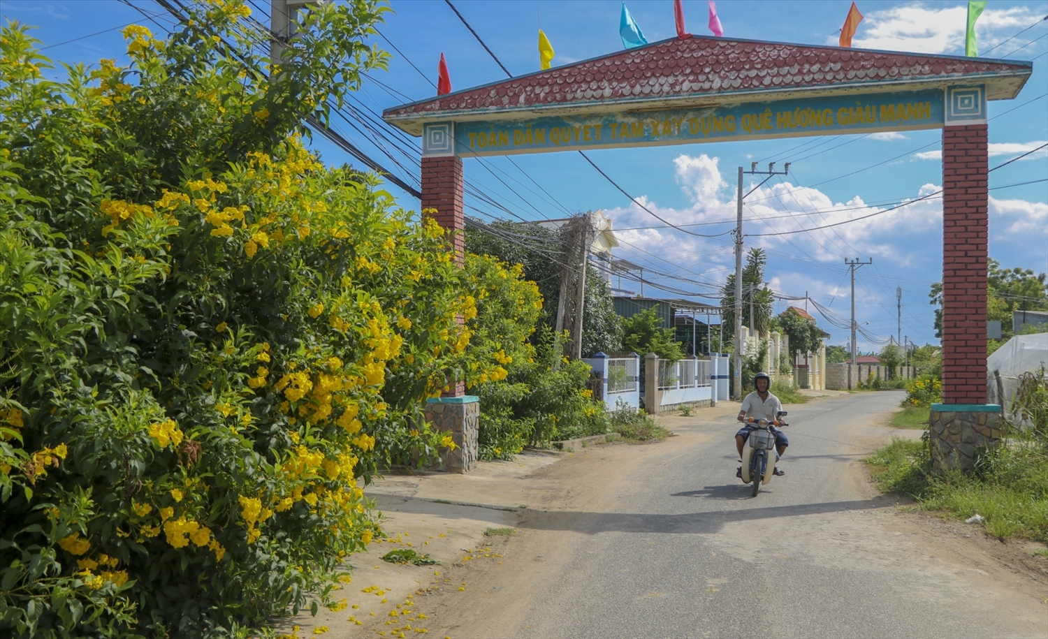 Đường nông thôn mới huyện Ninh Phước hôm nay (Ảnh TL)