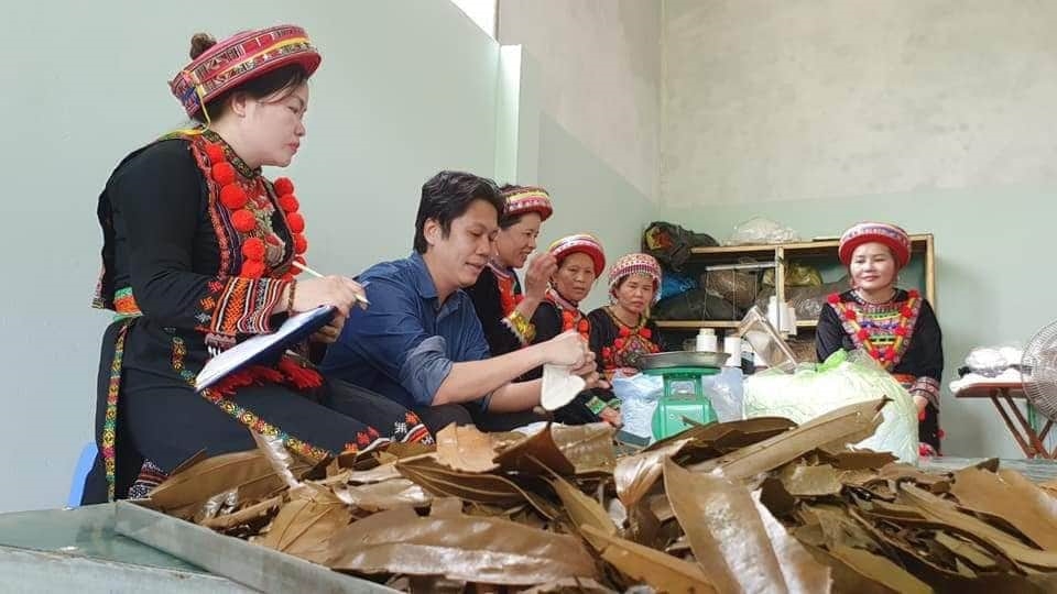 Dựa trên các thế mạnh về cây dược liệu và các bài thuốc cổ truyền của người Dao tại địa phương, HTX Thiên An tập trung sản xuất cây dược liệu thành các sản phẩm hàng hóa