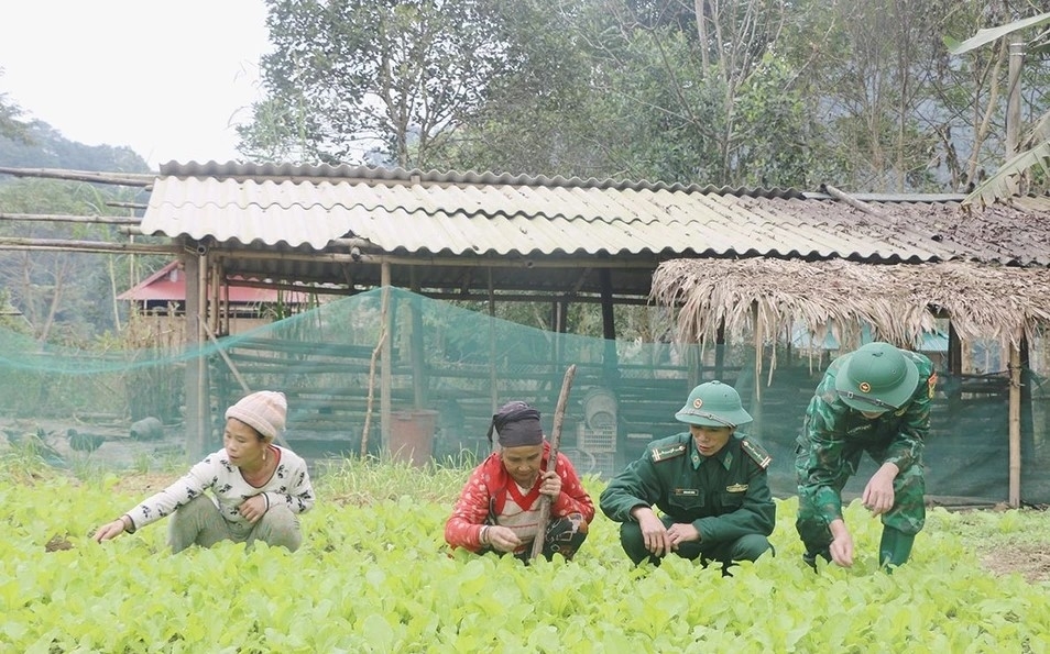 CBCS Trạm Biên phòng Cò Phạt, ĐBP Môn Sơn hướng dẫn bà con Đan Lai chăm sóc cây rau màu