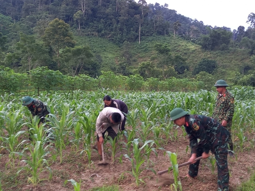 CBCS Đoàn Kinh tế Quốc phòng 4 (Quân khu IV) hướng dẫn bà con xã Tri Lễ, huyện Quế Phong trồng ngô