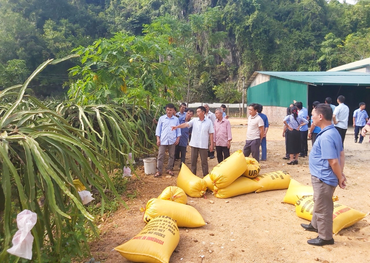 Đoàn đại biểu Người có uy tín tỉnh Bắc Kạn đi thăm mô hình trồng cây ăn quả trên địa bàn huyện Nguyên Bình, tỉnh Cao Bằng