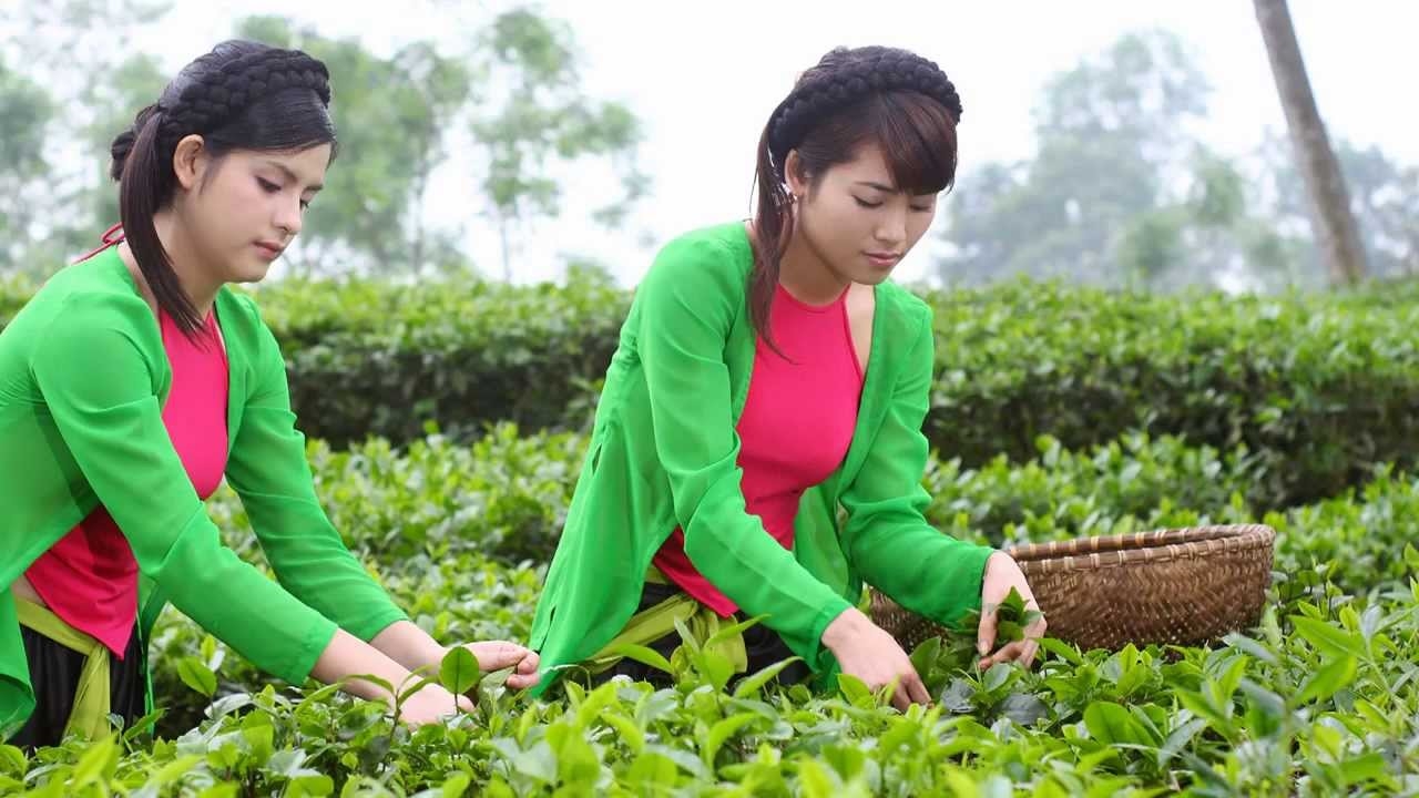 Tổ chức Festival nông sản, OCOP, làng nghề gắn kết du lịch - Thái Nguyên 2023 từ ngày 30/11 đến 04/12