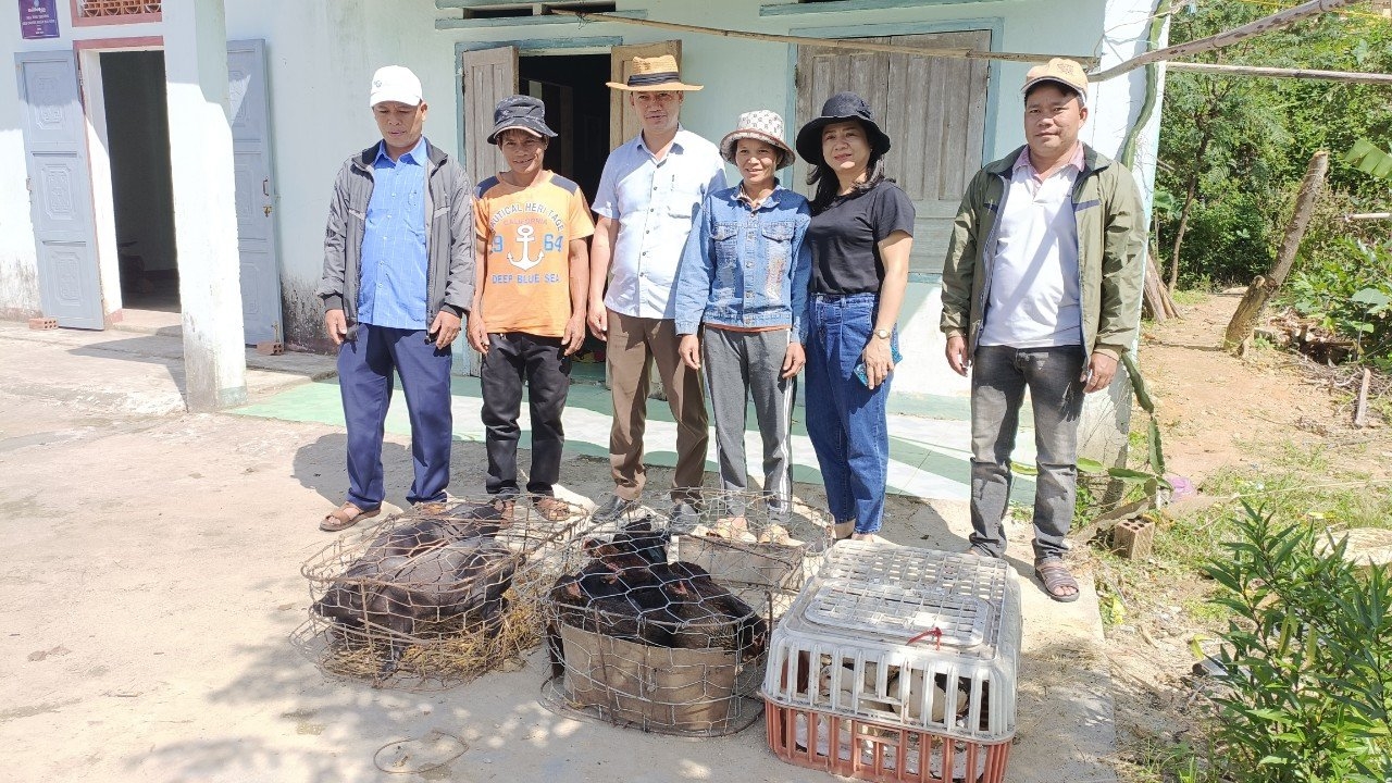 Các cơ quan, đơn vị trên địa bàn huyện Trà Bồng hỗ trợ con giống cho hộ nghèo