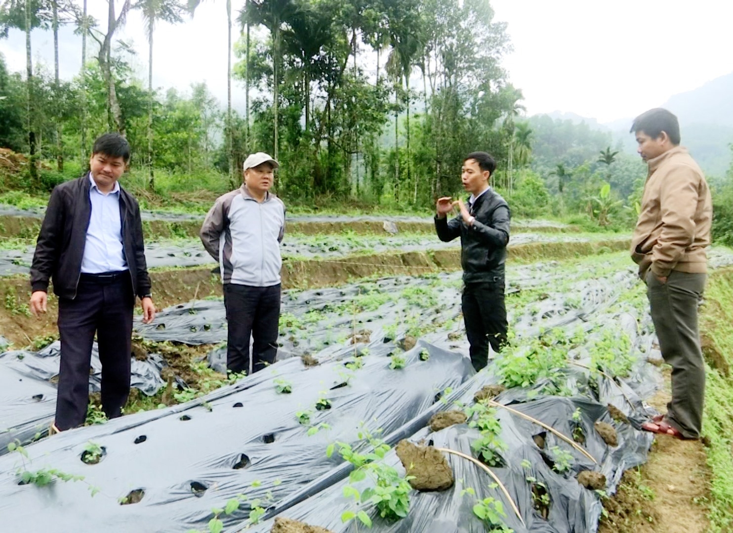 Thời gian qua, tỉnh Quảng Nam đã triển khai nhiều mô hình kinh tế giúp người dân giảm nghèo bền vững (Ảnh minh hoạ)