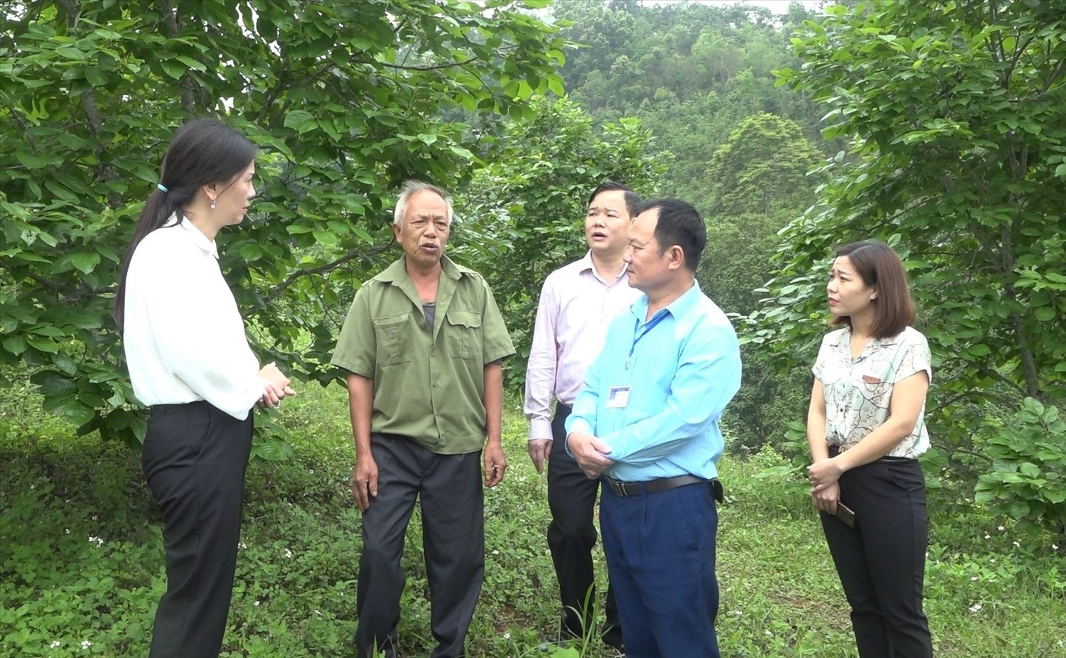 Lãnh đạo huyện Văn Lãng đi thăm quan, động viên các hộ dân phát triển kinh tế