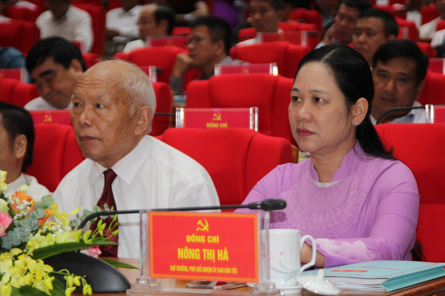 Thứ trưởng, Phó Chủ nhiệm Ủy ban Dân tộc Nông Thị Hà tham dự Hội nghị