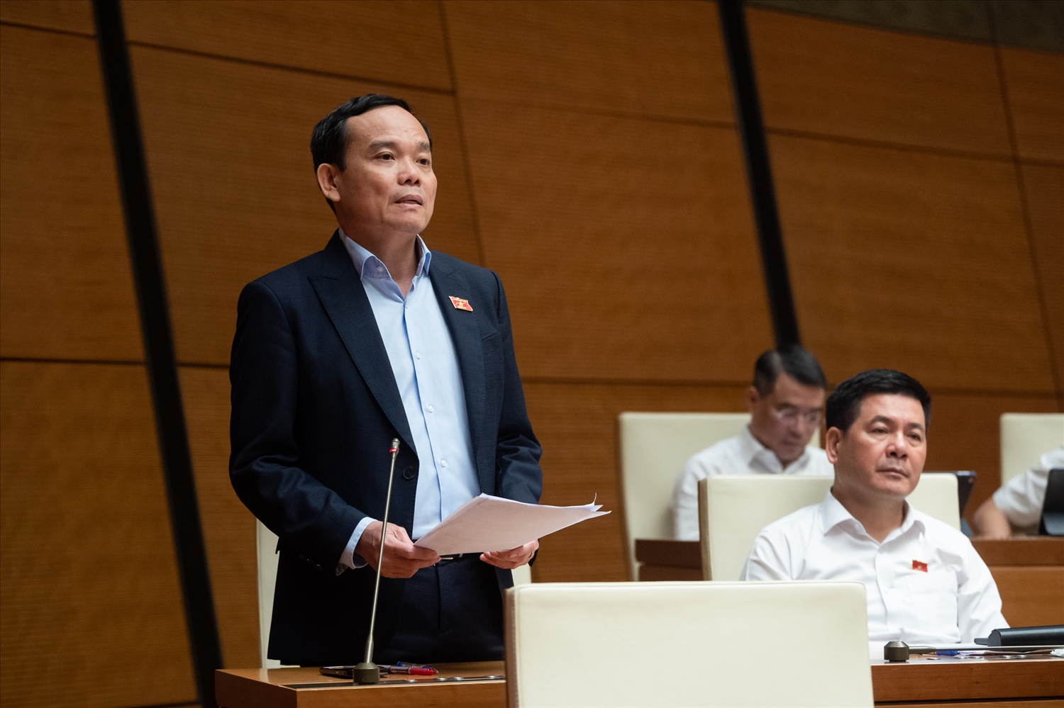 Phó Thủ tướng Chính phủ Trần Lưu Quang phát biểu 