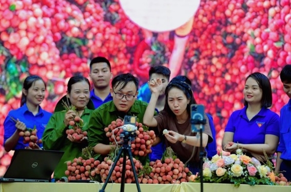 Thảo trong một buổi hỗ trợ nông dân và thanh niên tỉnh Bắc Giang livestream quảng bá tiêu thụ nông sản