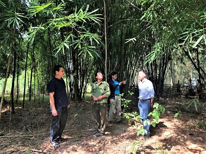 Kiểm tra phát triển rừng lùng ở xã Đồng Văn (Quế Phong)